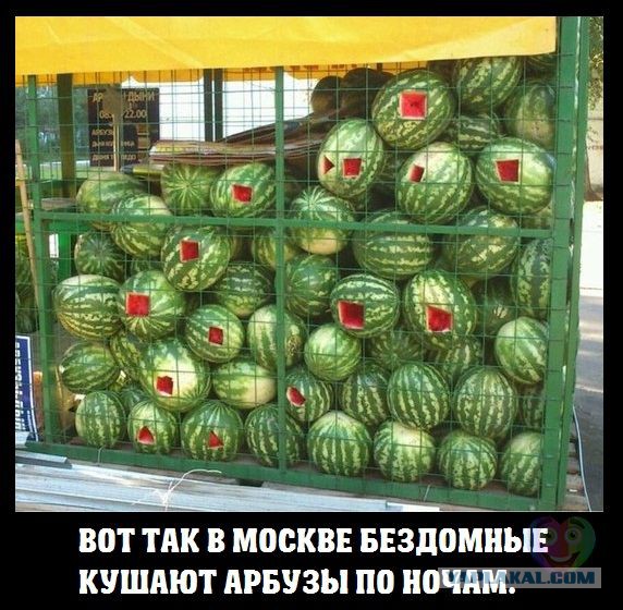 Так...солянка