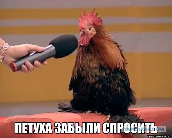 Журналист Андрей Стенин был убит на Украине