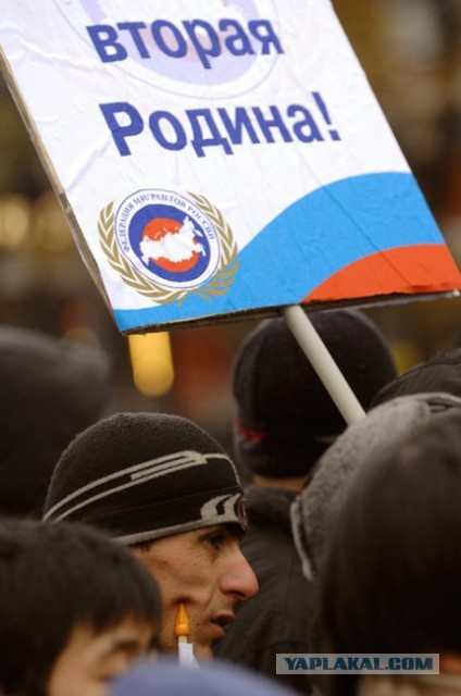 Мигрант убирайся вон!