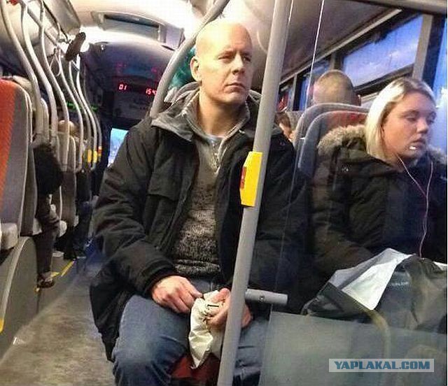 Двойники знаменитостей