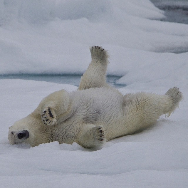 Впечатляющие фотографии National Geographic