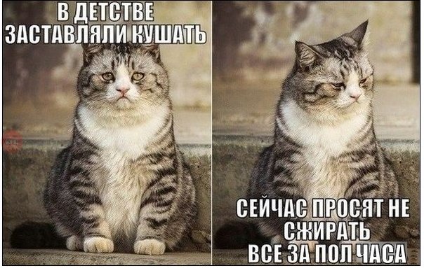 Смешные комментарии из социальных сетей