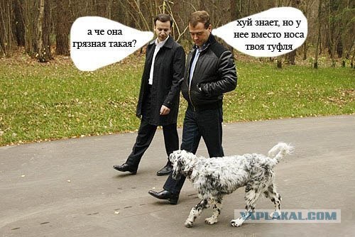 Лучший друг