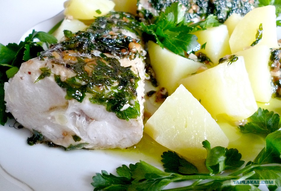 Рыба хек рецепты приготовления. Хек в зеленом чесночном соусе. Хек в чесночном соусе. Рыба с зеленым маслом и петрушкой. Мерлуза в зеленом соусе.