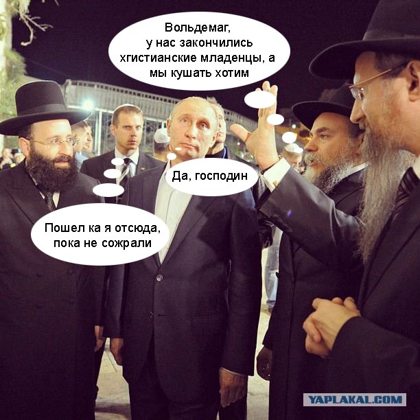 Свой среди своих