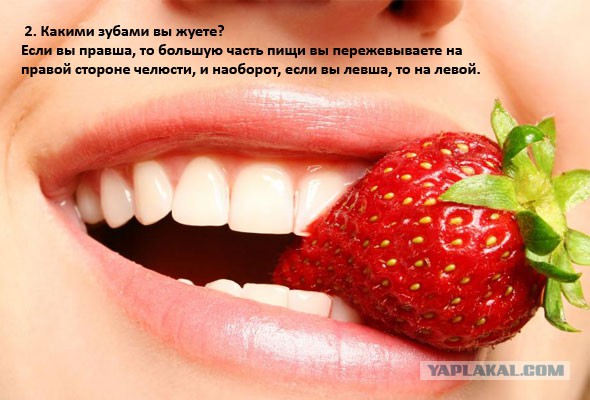 Интересные факты о разном