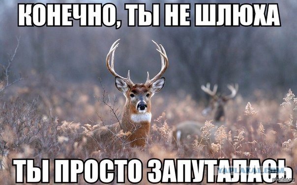 Сожительствую с тремя мужчинами