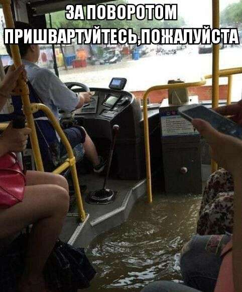 Картинки из инета