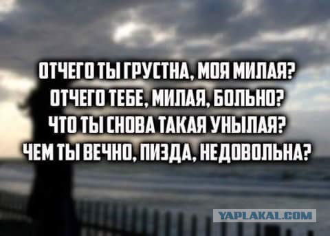 Плюшкиным посвящается