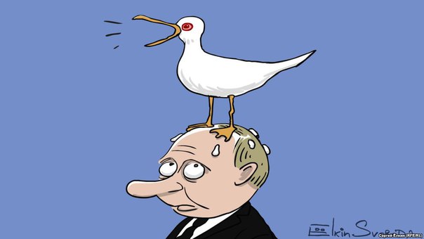 Цитата дня