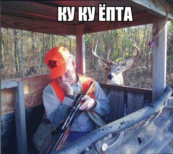 Позитив на воскресенье