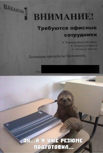 Разные картинки