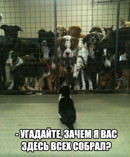 Картинки разные 2