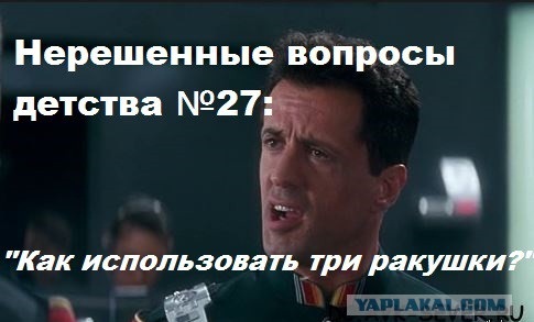 Жилье, туалеты и быт японцев