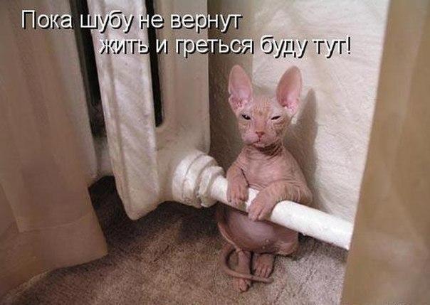 Картинки на пятницу