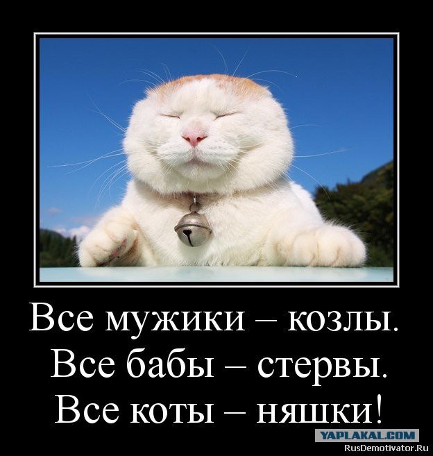Новая подборка картинок