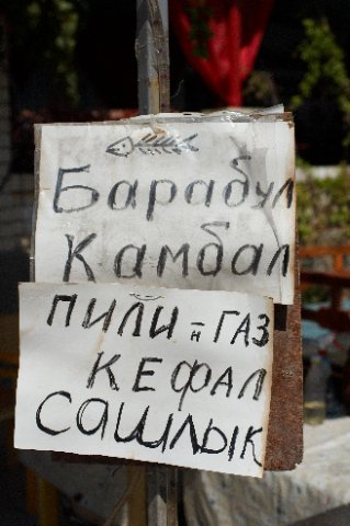 Креатив и кретинизм в объявлениях, рекламах и вывесках