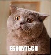 Пришёл на помощь