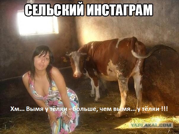 Смешные картинки с надписями