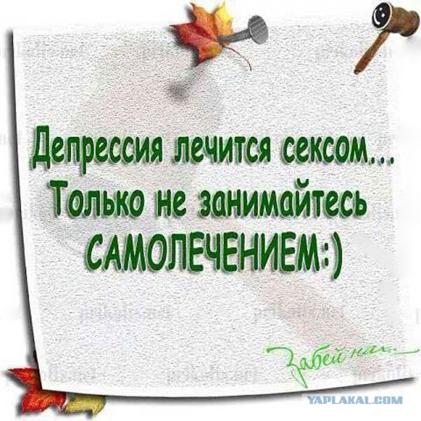 Анекдоты. Фразы