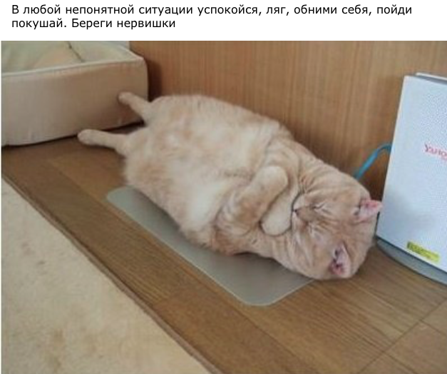 Подборка веселых и забавных картинок с просторов того самого
