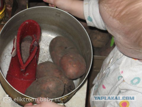 Высокая кухня или никогда не заказывайте в ресторане сербский салат