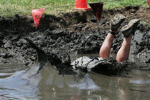 ФотоОвсянка, сэр..