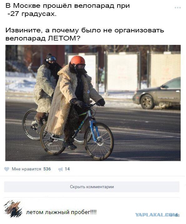 Смешные картинки с надписями 2