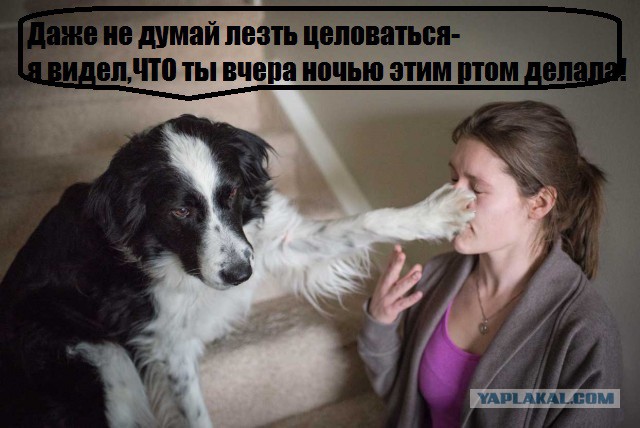 Картинки с просторов