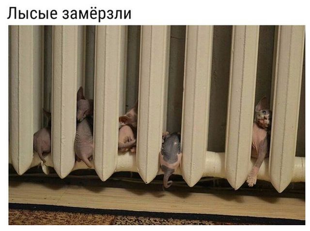Подборка интересных и веселых картинок