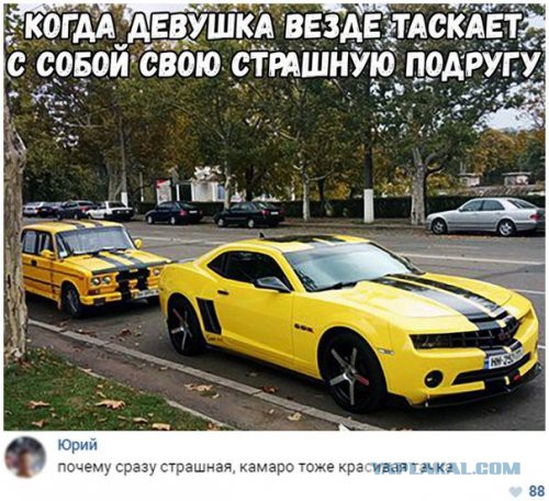 Смешные комментарии из социальных сетей 22.12.2017