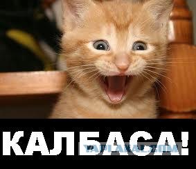 Казахстанец раскрыл формулу топлива НЛО для землян