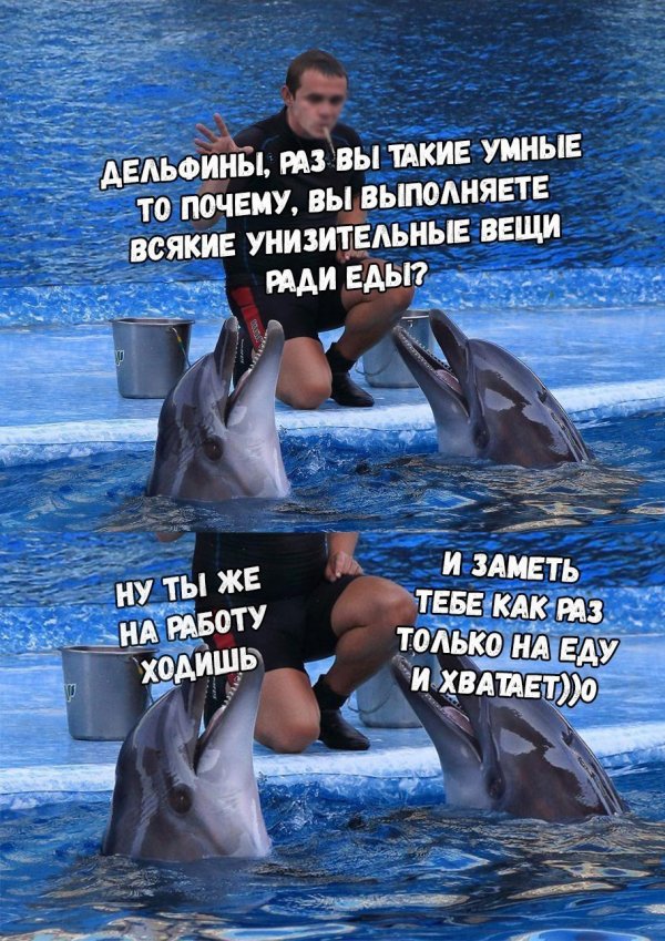 Нестандартный юмор