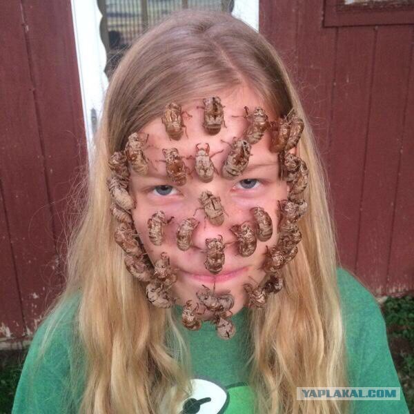 Девушка с замерзшими ресницами показала новую якутскую боль