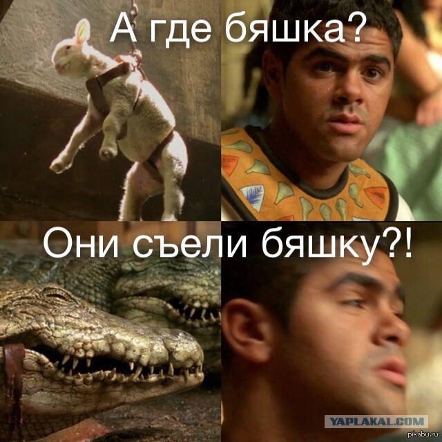 Работа собаки-пастуха