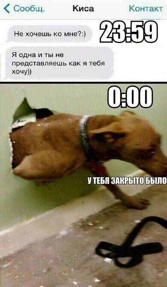 Картинки юморные и тексты