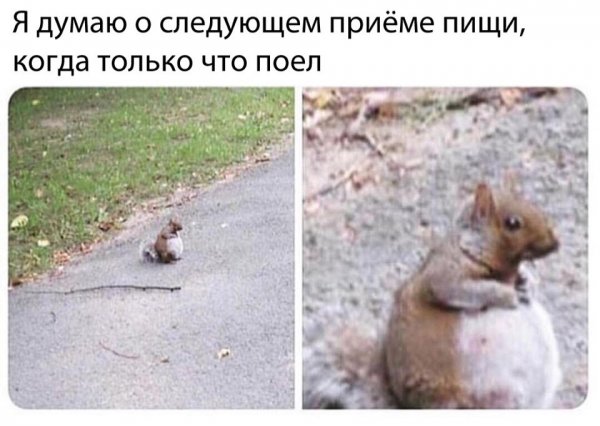 Немного картинок на вечер