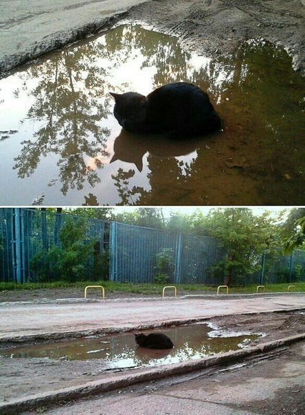 Немного милоты