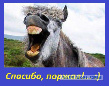 Ни разу не болгарин и не румын: настоящая национальность Киркорова