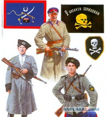 За что так не любят казаков?