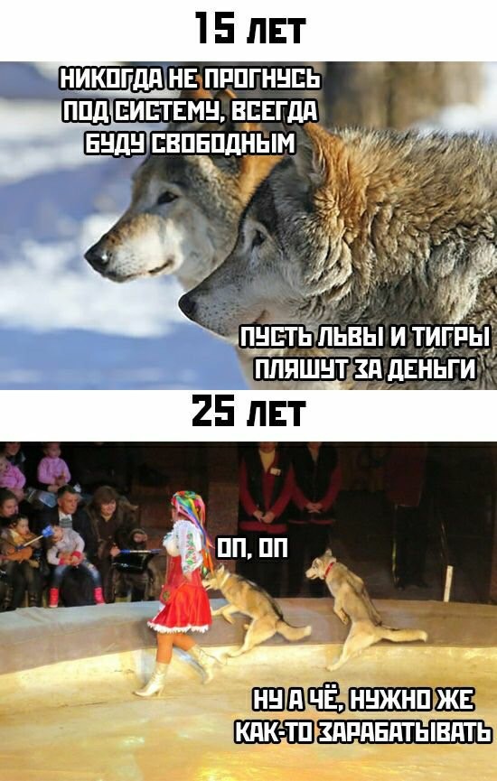 Комментарии, картинки всякие