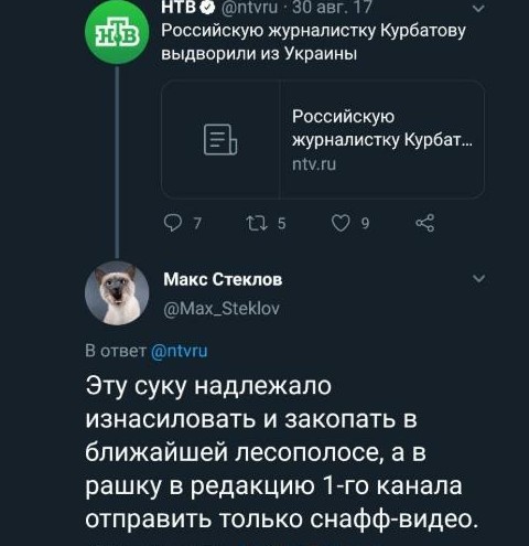 Блогеру дали пять лет за твит