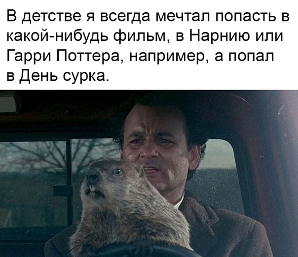 Немного картинок для настроения 09.10.19