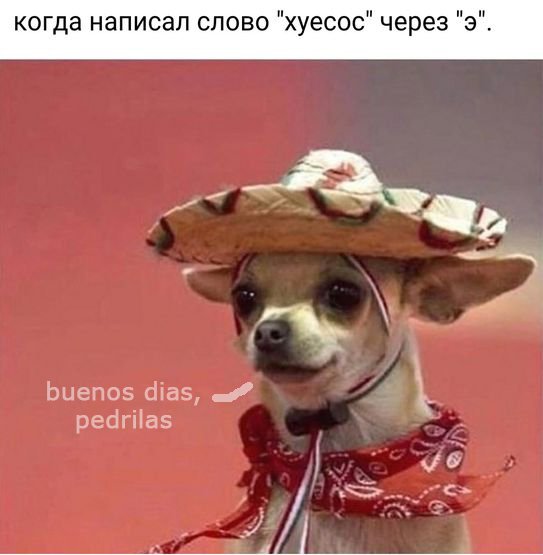 Юмор на любителя