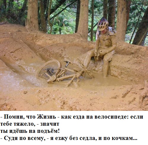 Так себе картинки #15