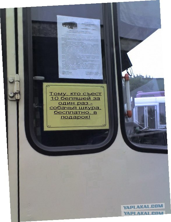 Не входить с беляшами!