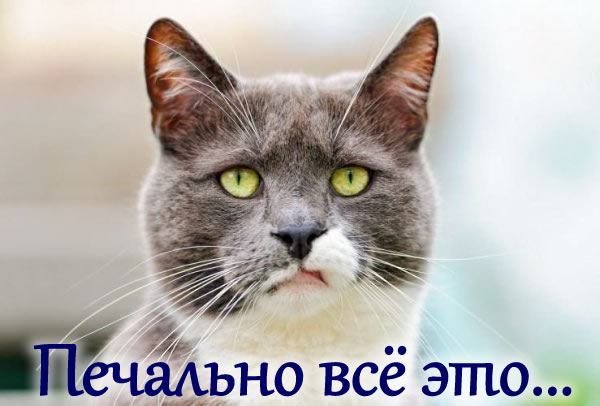 Животные неудачи