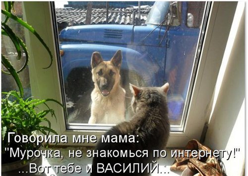 Прикольные и просто красивые картинки 02.09.20