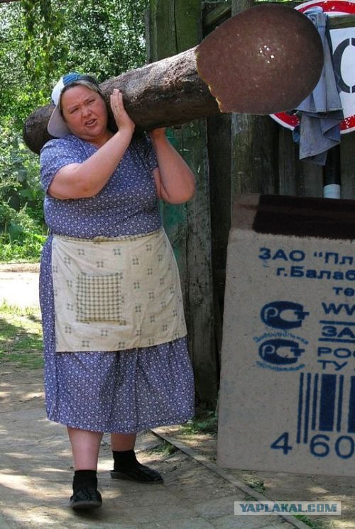 фотожаба: с бревном