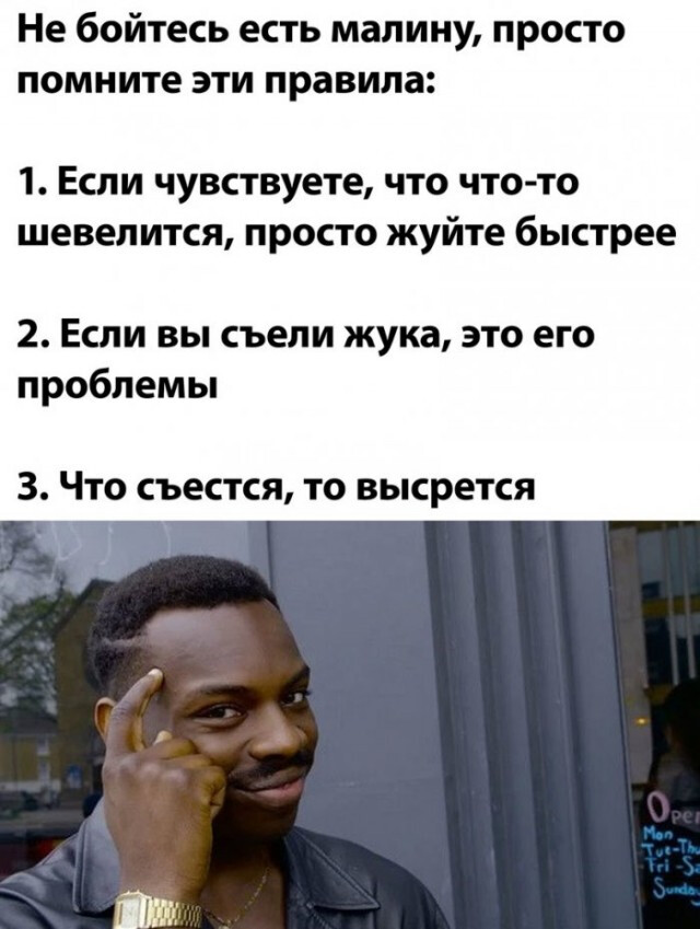 Фотки и картинки: юморные и красивые, забавные и милые 09.11.20